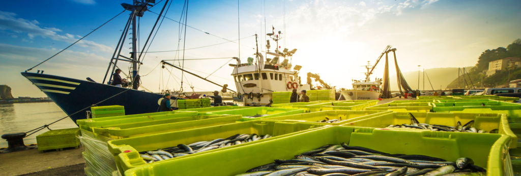 Top Tips To Protect Your Ship From Pirates In The Sea