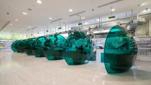 Key Questions to Ask Before Hiring a Fit Out Contractor