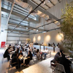 Why Dubai’s Fun Places Are The Best Choice For Kids