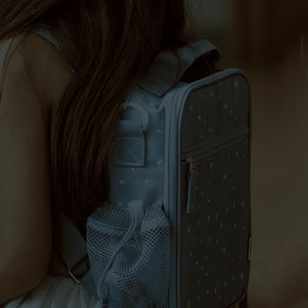 The Benefits Of Carrying Small Lunch Bags