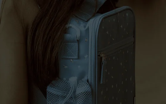 The Benefits Of Carrying Small Lunch Bags